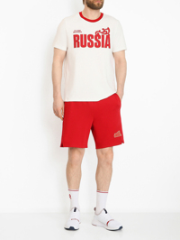 Модель Общий вид