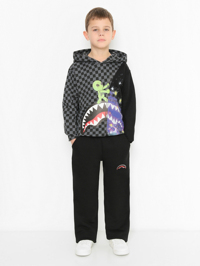 Модель Общий вид