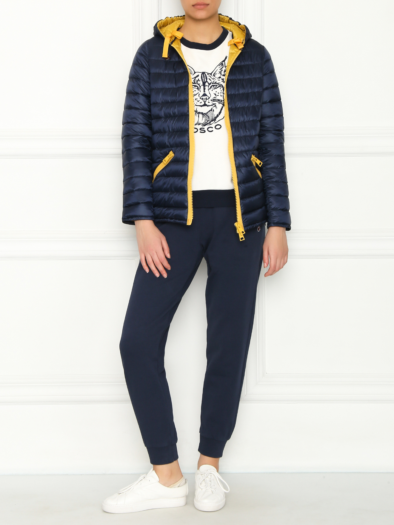 Модель Общий вид