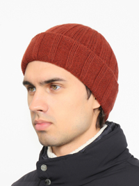 Модель Общий вид