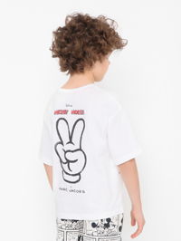 Модель Верх-Низ1