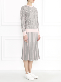 Модель Общий вид